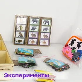 Набор психолога "Комплексное развитие" (7 модулей) - фото №28