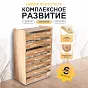  Набор психолога "Комплексное развитие" (7 модулей) - фото превью №1
